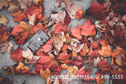 (400電話申請需要什么條件)(怎樣申請400電話去哪里申請)