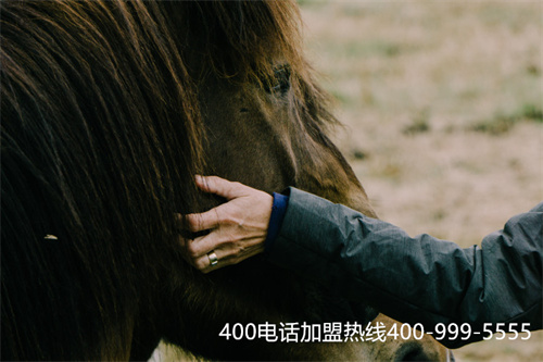 (400電話如何選)(400電話的具體選擇號(hào)碼的技巧有哪些)
