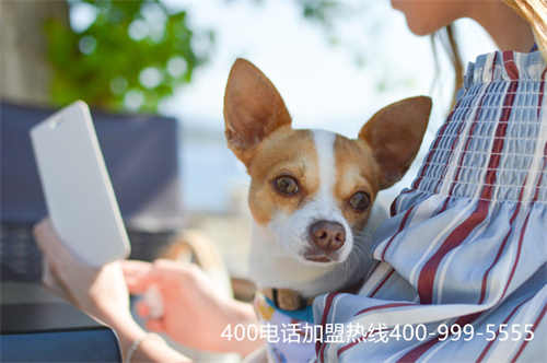 (400電話的)(400電話的正確格式)